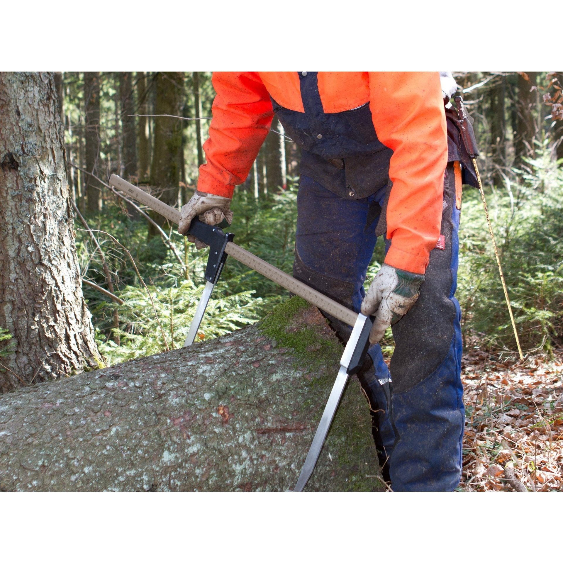 NESTLE Messkluppe Waldmeister 40 cm, konformitätsbewertet D1 (geeicht)