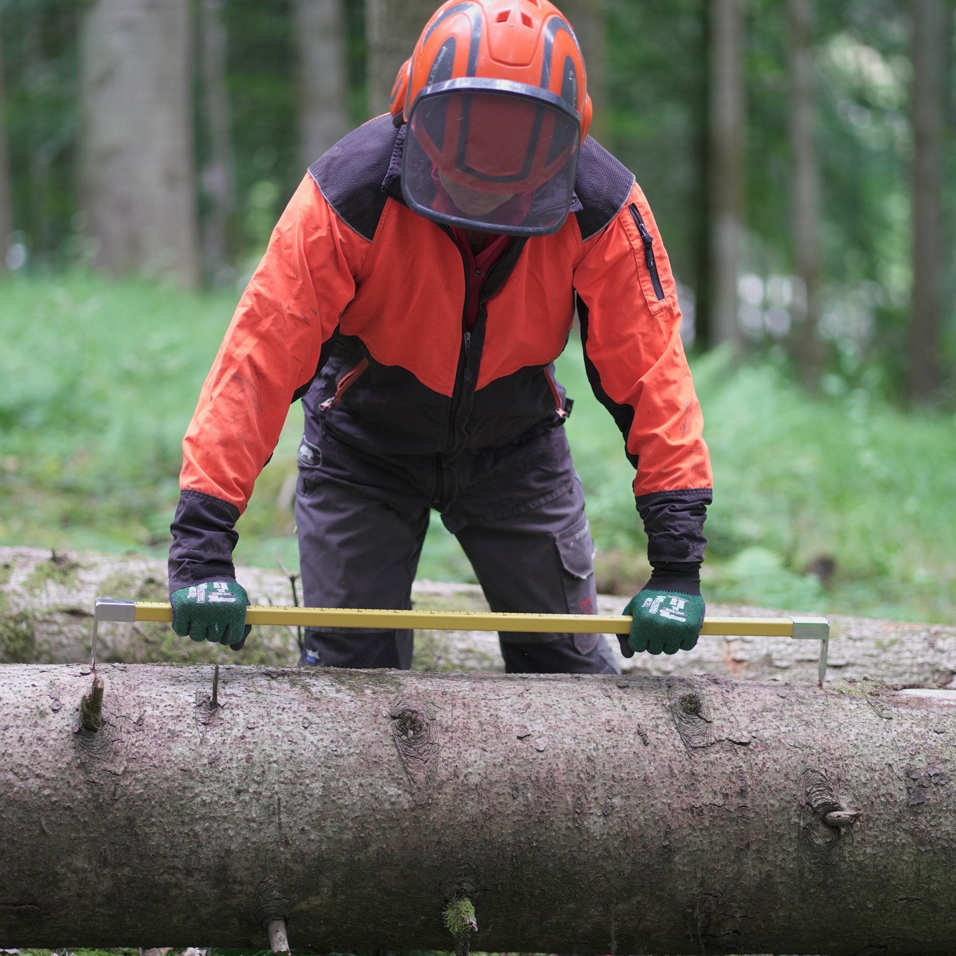 NESTLE Anreißmeterstock 100 cm, Holz, mit zwei Spitzen - BauForst24