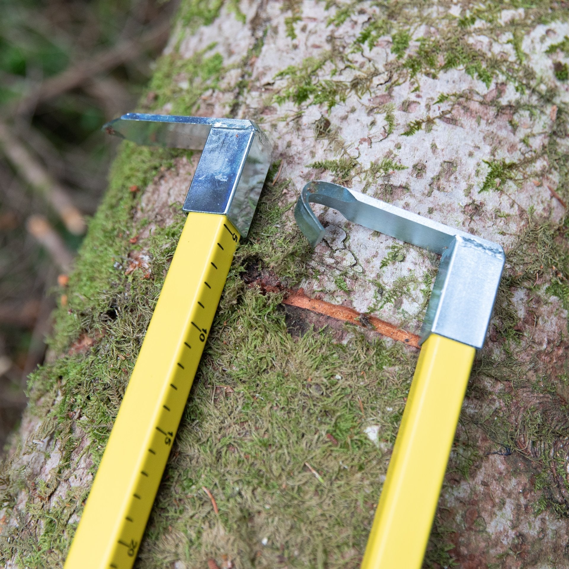 NESTLE Anreißmeterstock 100 cm, Holz, mit zwei Spitzen - BauForst24