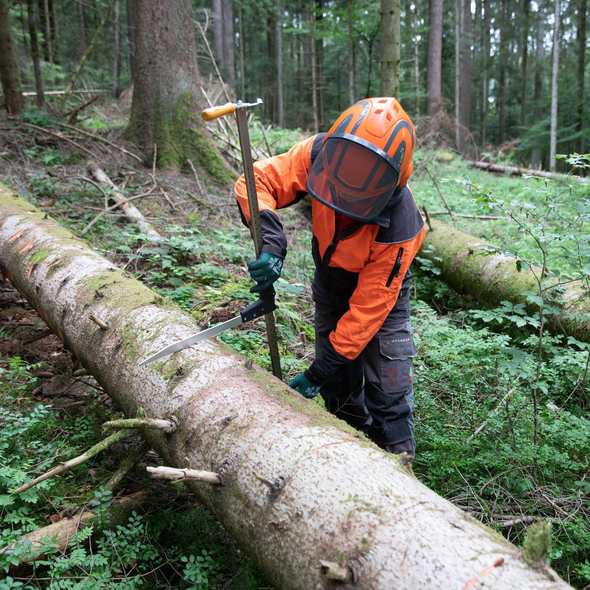 NESTLE Messkluppe Specht 80 cm – Zum Ablängen mit beweglichem Holzreisser - BauForst24