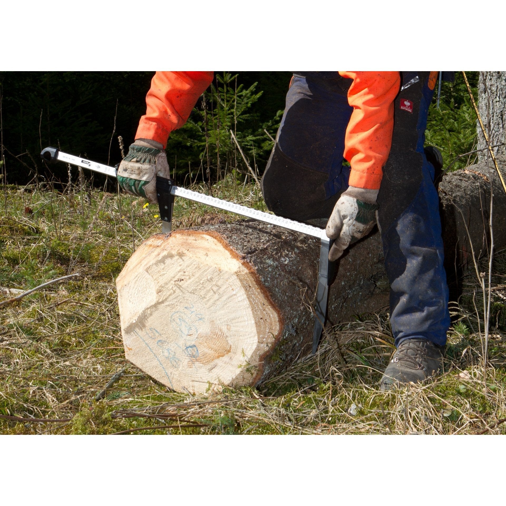 NESTLE Messkluppe Waldfreund - BauForst24